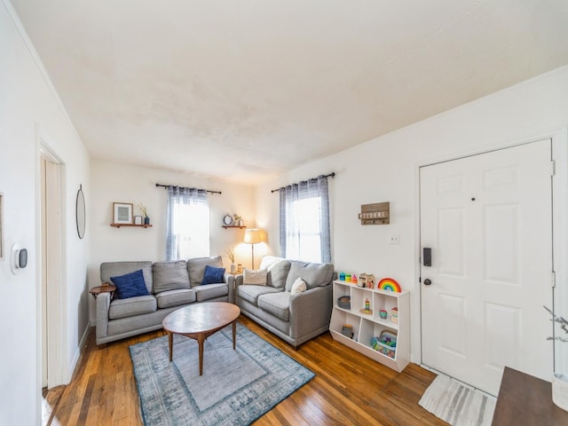 living room with dark wood-type flooring