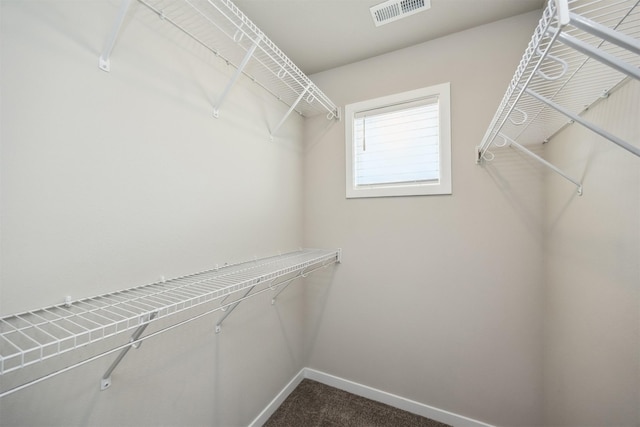610 NE Whitetail Dr, Ankeny, IA 50021 - walk in closet featuring dark colored carpet