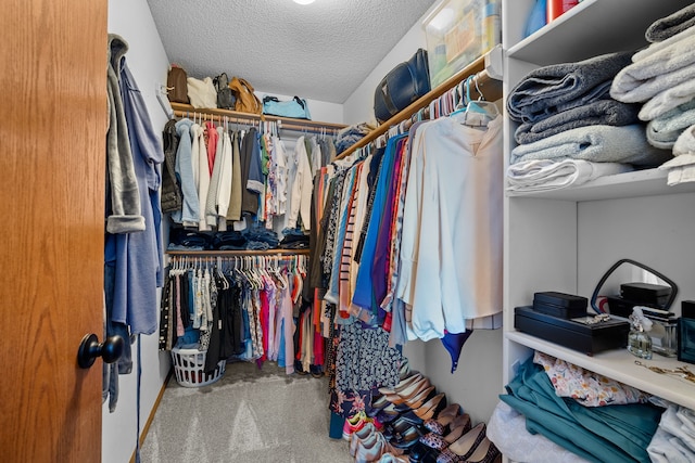 walk in closet featuring carpet floors