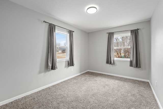 empty room with carpet and a wealth of natural light