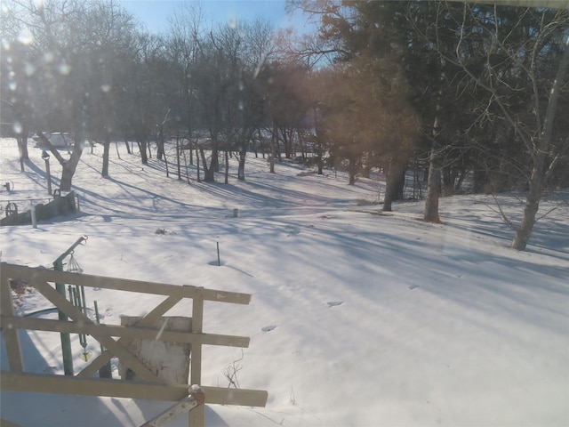 view of yard layered in snow