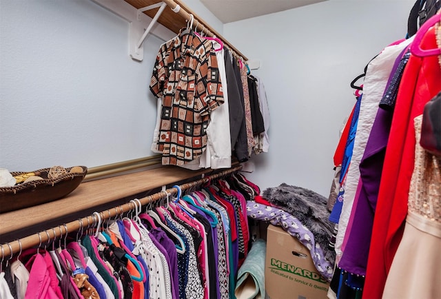 3015 Deerpath Ct, Des Moines, IA 50320 - view of spacious closet
