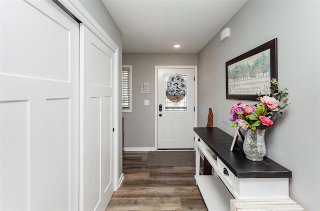 entryway featuring dark wood-type flooring