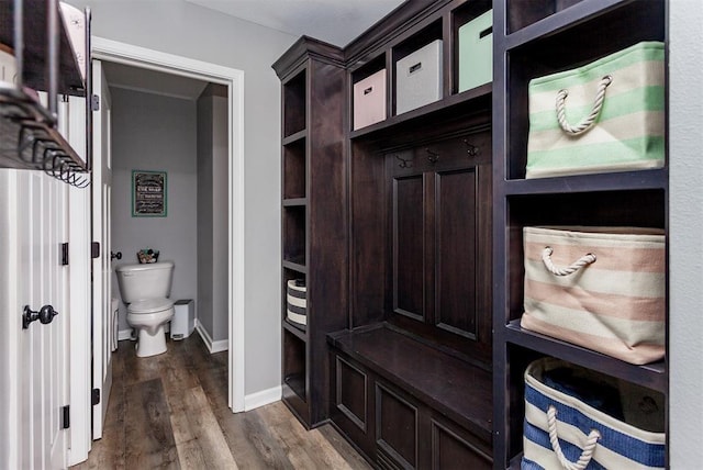 mudroom featuring dark hardwood / wood-style floors