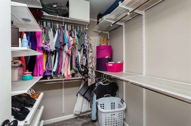 walk in closet featuring carpet