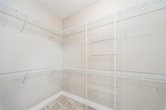 2938 NE Brentwood Cir, Grimes, IA 50111 - spacious closet featuring carpet