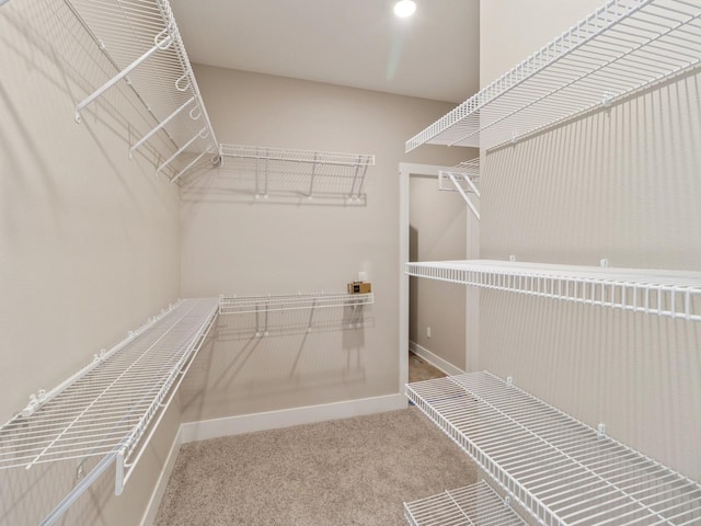 spacious closet featuring carpet flooring