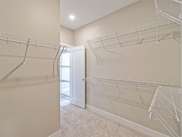 walk in closet featuring carpet