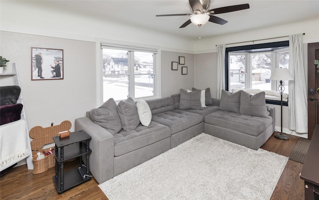 living room featuring plenty of natural light, ceiling fan, and dark wood-type flooring