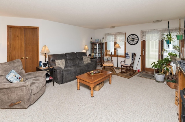 view of carpeted living room