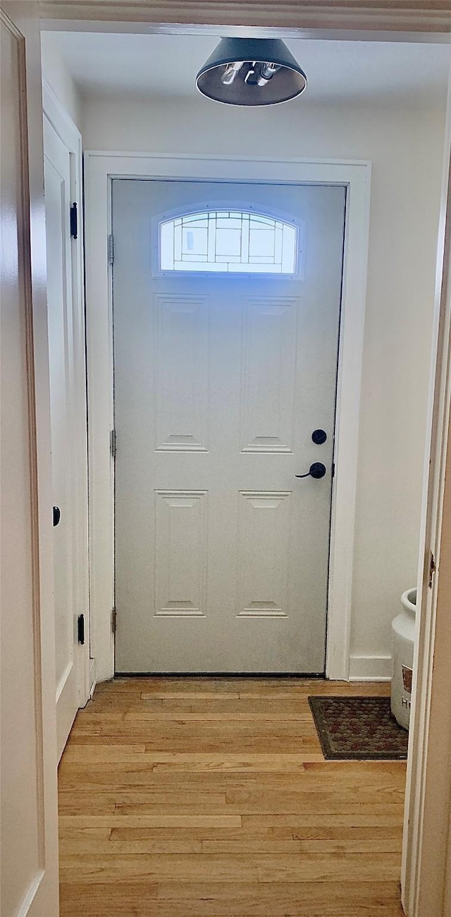 doorway with light hardwood / wood-style flooring