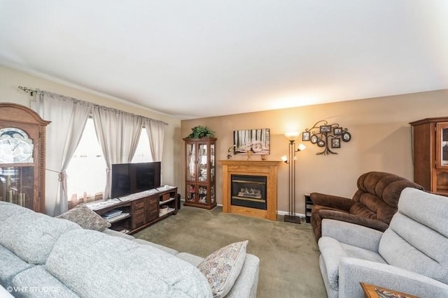 living room featuring carpet flooring