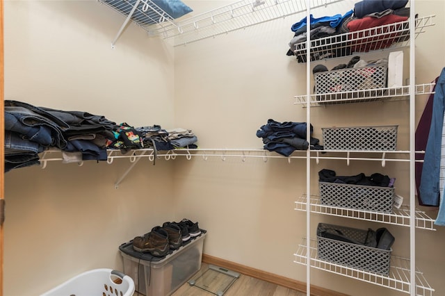 spacious closet with hardwood / wood-style floors