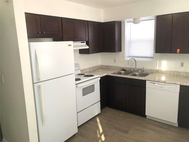 kitchen with dark hardwood / wood-style flooring, sink, white appliances, and dark brown cabinetry