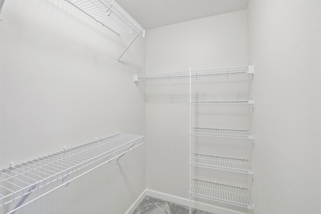 spacious closet with carpet floors