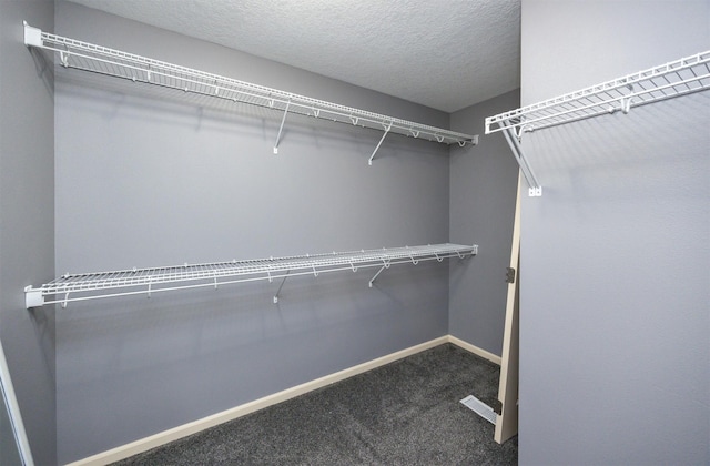 spacious closet featuring carpet floors