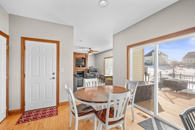 dining room featuring ceiling fan and light hardwood / wood-style floors