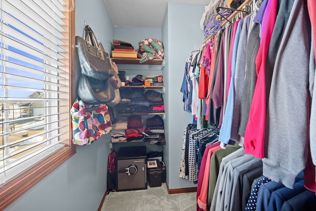 spacious closet featuring carpet flooring