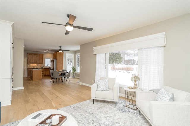 living room featuring light hardwood / wood-style floors