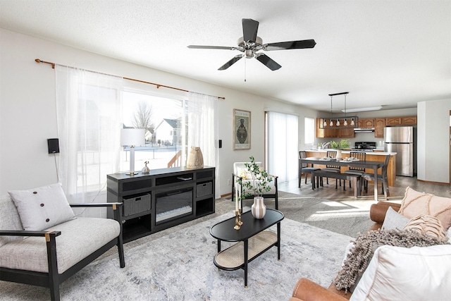 living room with a textured ceiling