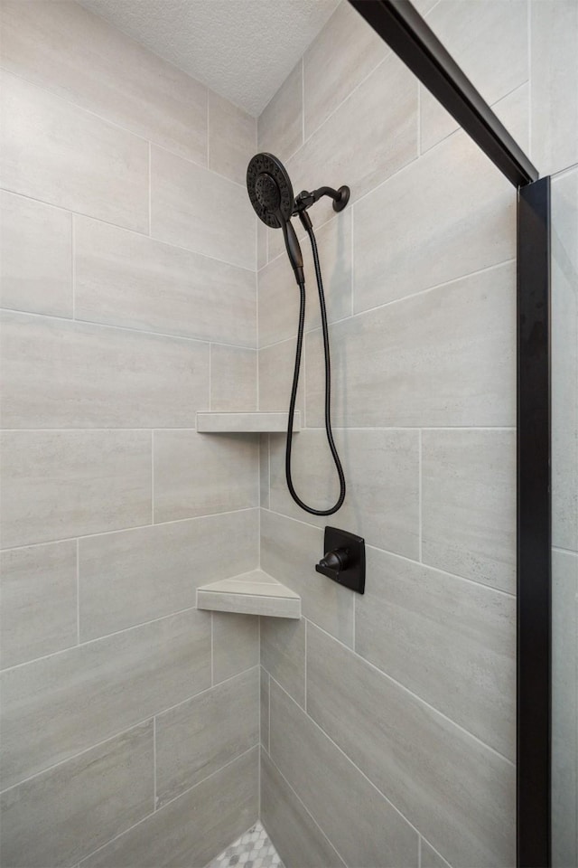 18274 Hidden Knl, Clive, IA 50325 - bathroom view of tiled shower