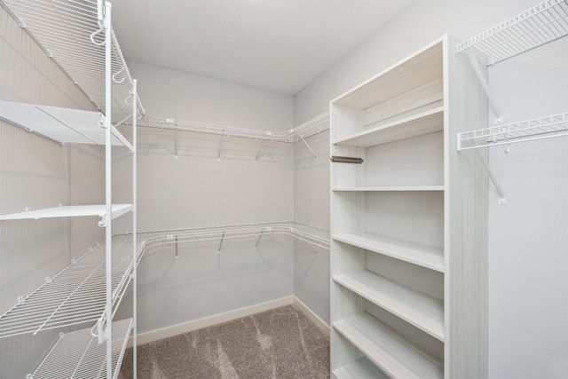 18274 Hidden Knl, Clive, IA 50325 - walk in closet with carpet flooring