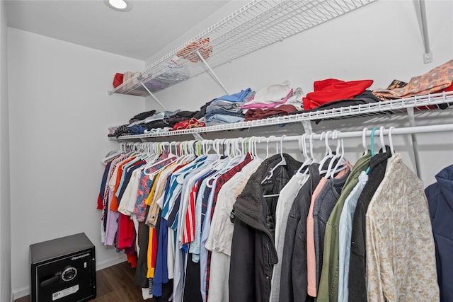 spacious closet featuring dark wood-style flooring