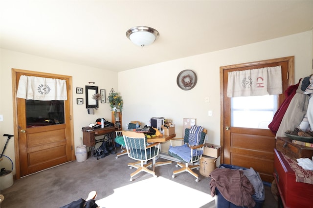 office area featuring carpet floors