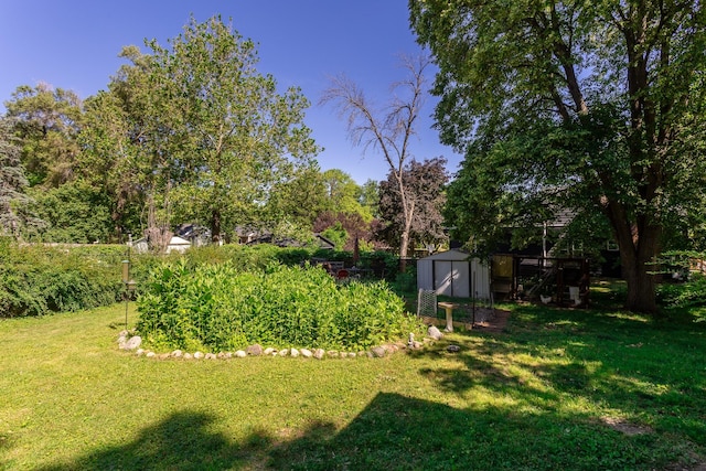 view of yard with a storage unit and an outdoor structure