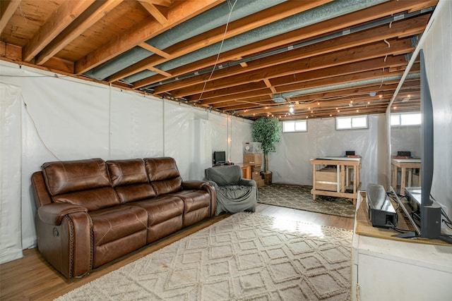 living room featuring wood finished floors