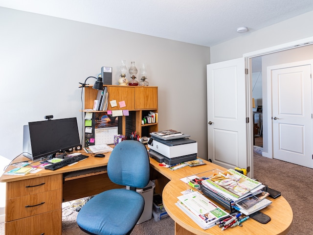 office area featuring carpet