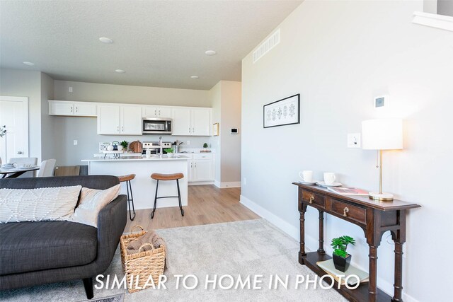 206 NE Doe Pointe Ln, Ankeny, IA 50021 - living room with light wood-style floors and baseboards