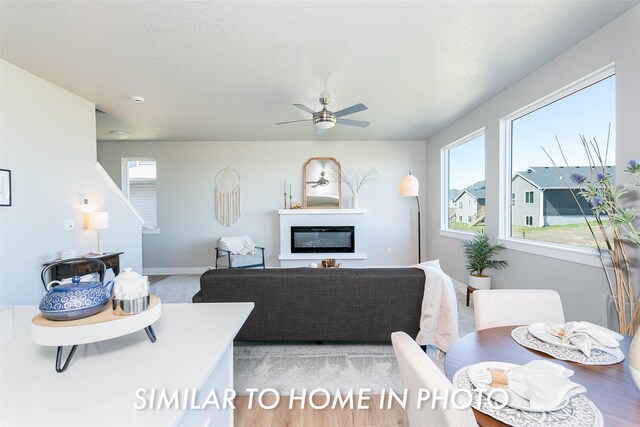 206 NE Doe Pointe Ln, Ankeny, IA 50021 - living area with ceiling fan, a glass covered fireplace, and light wood-style flooring