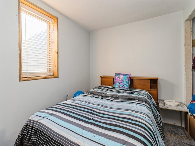 3473 Juniper Ave, Casey, IA 50048 - carpeted bedroom with multiple windows