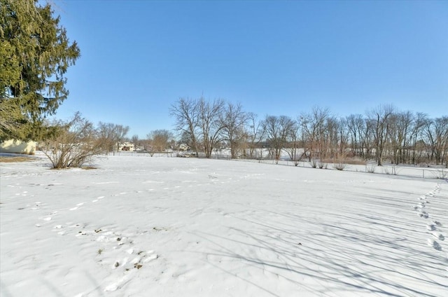 view of snowy yard