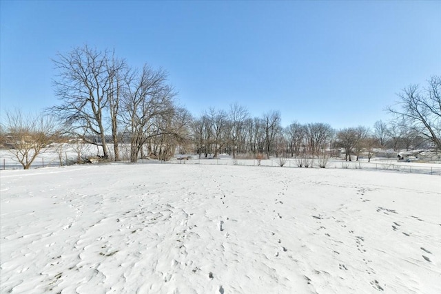 view of yard layered in snow