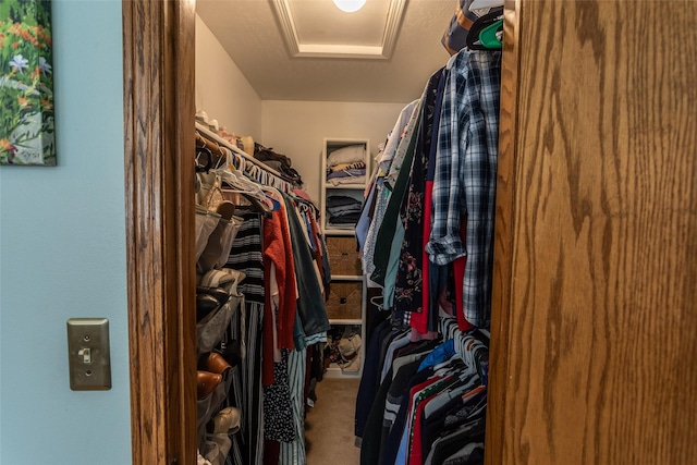 walk in closet featuring carpet floors and attic access