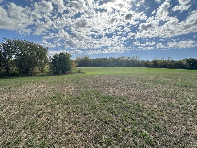 8414 NE 110th Ave, Bondurant, IA 50035 - photo 5