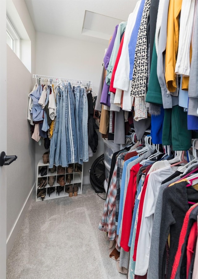 walk in closet featuring carpet flooring and attic access