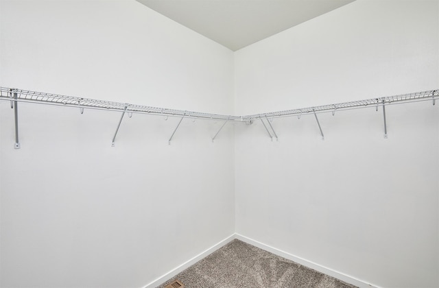 spacious closet featuring carpet flooring