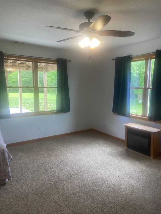 carpeted spare room featuring a textured ceiling, baseboards, and a wealth of natural light