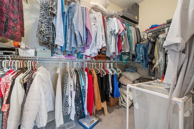 walk in closet featuring carpet flooring