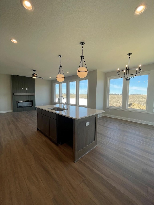 kitchen featuring dark wood finished floors, plenty of natural light, open floor plan, and a sink