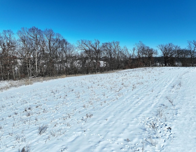 view of snowy yard