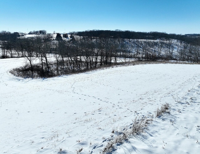 view of yard covered in snow