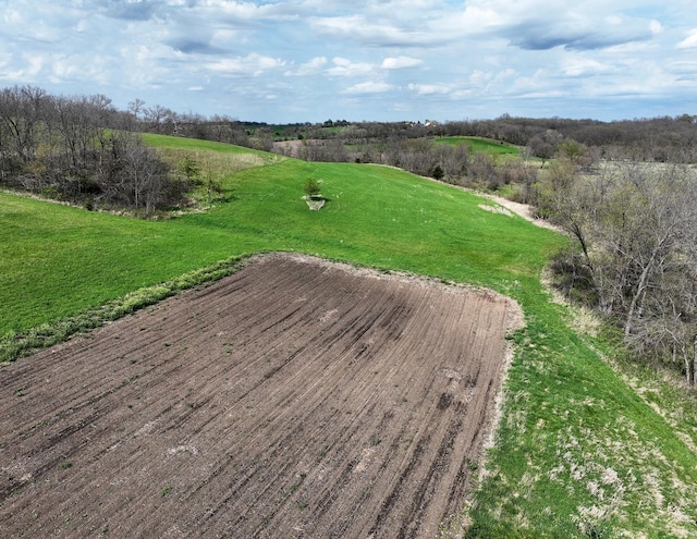 25095 490th St, Chariton, IA 50049 - photo 13