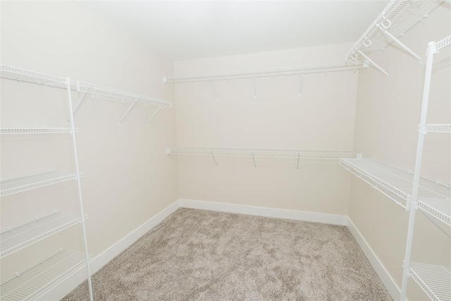 spacious closet featuring light carpet