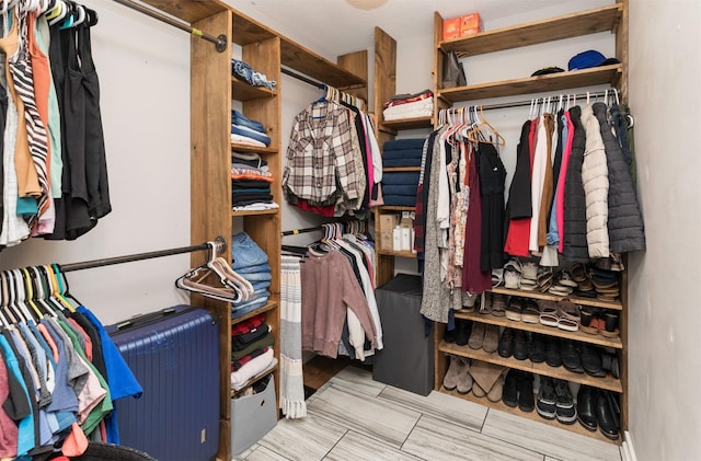 view of spacious closet