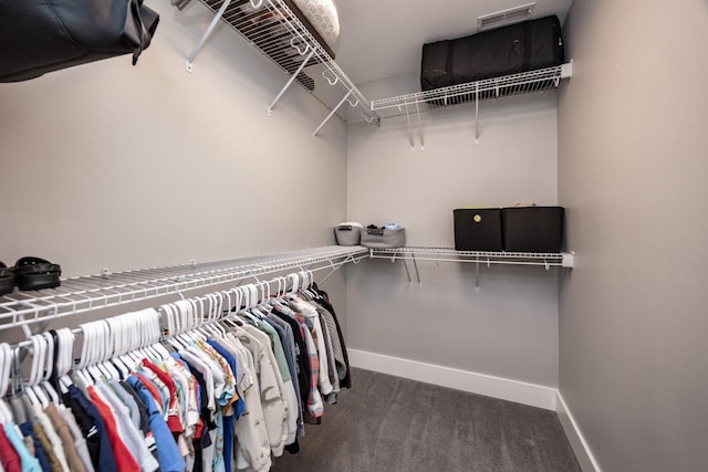 spacious closet with carpet flooring and visible vents