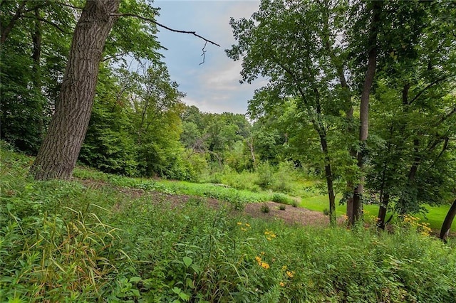 view of nature with a forest view